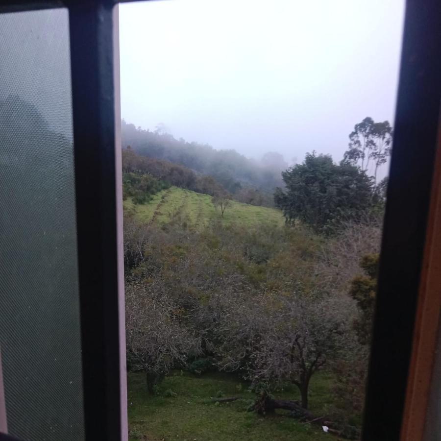 Olive Rooms Kodaikanal With Wifi, Spacious Rooms, Parking Kültér fotó